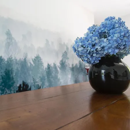 Aqua&co - Eco Conscious Bed & Breakfast