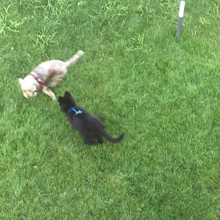 Bed & Breakfast Aqua&co - Eco Conscious 4*