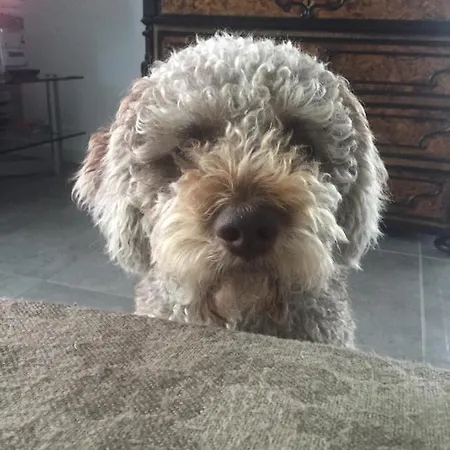 Bed & Breakfast Aqua&co - Eco Conscious 4*