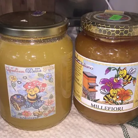 Bed & Breakfast Aqua&co - Eco Conscious 4*