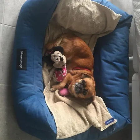 Aqua&co - Eco Conscious 벨라지오