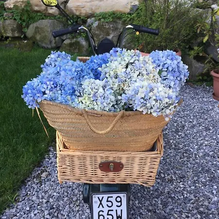 B&B Aqua&co - Eco Conscious