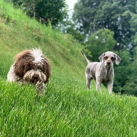 Aqua&co - Eco Conscious B&B 4*