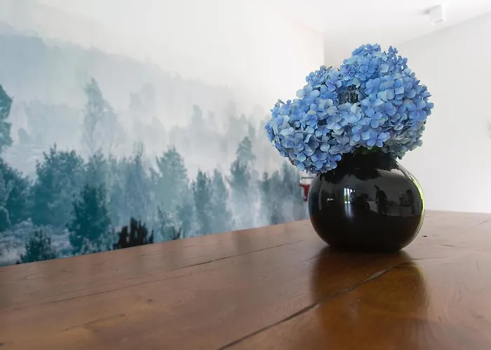 Aqua&co - Eco Conscious Couette-café