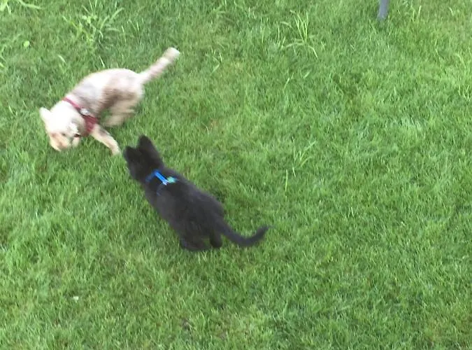 Couette-café Aqua&co - Eco Conscious 4*