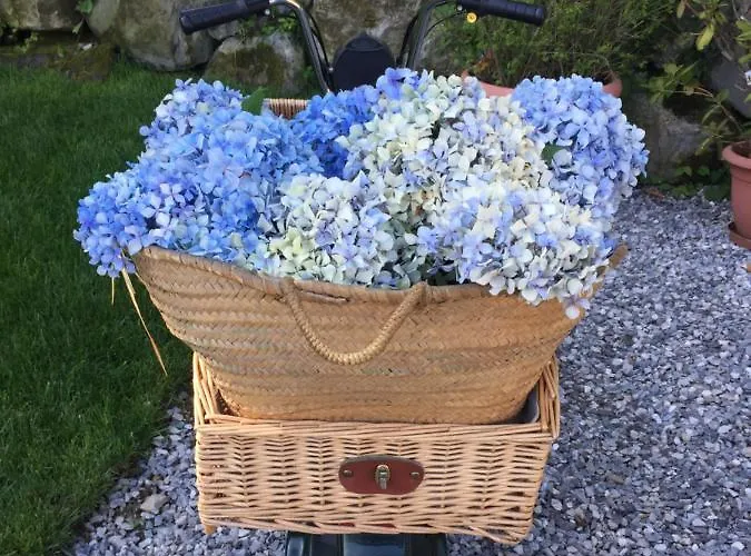 לינה וארוחת בוקר Aqua&co - Eco Conscious