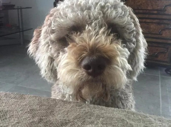 Couette-café Aqua&co - Eco Conscious 4*