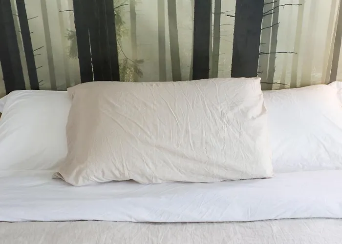 Couette-café Aqua&co - Eco Conscious 4*