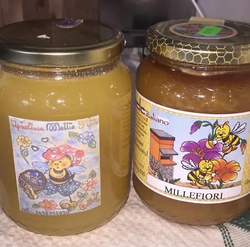 Couette-café Aqua&co - Eco Conscious 4*