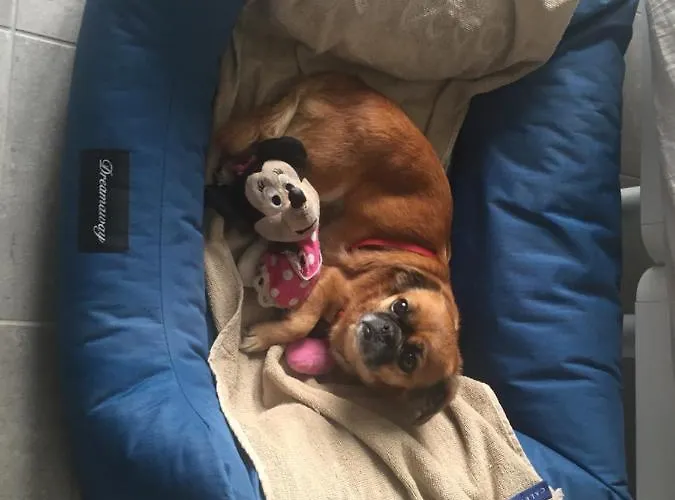 Aqua&co - Eco Conscious Белладжо