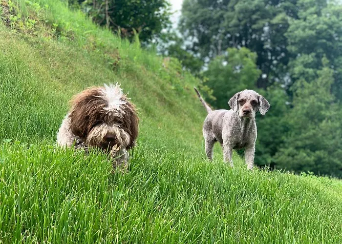 Aqua&co - Eco Conscious Отель типа 