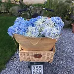Bed & Breakfast Aqua&co - Eco Conscious